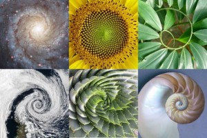 golden-ratio-679x453